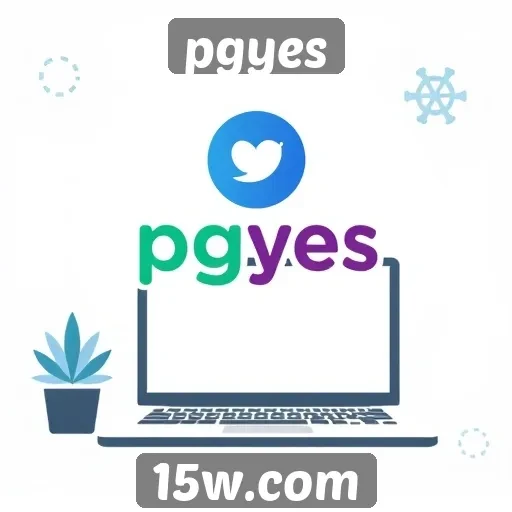 Visão geral do site pgyes e suas funcionalidades